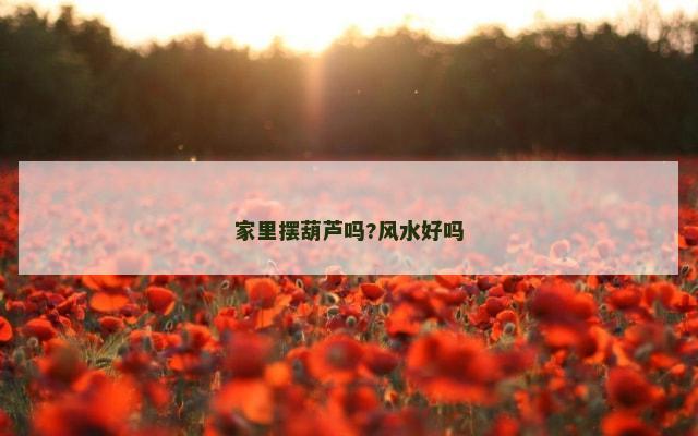 家里摆葫芦吗?风水好吗