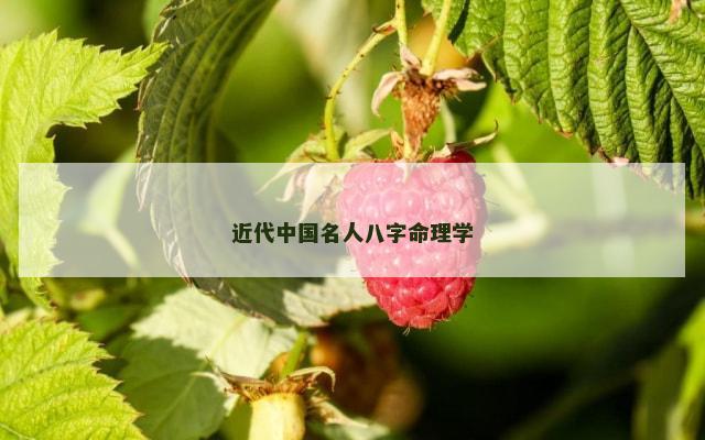 近代中国名人八字命理学