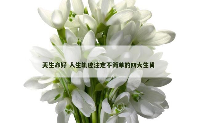 天生命好 人生轨迹注定不简单的四大生肖