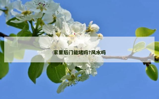 家里后门能堵吗?风水吗