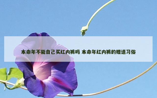 本命年不能自己买红内裤吗 本命年红内裤的赠送习俗
