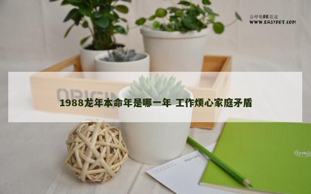 1988龙年本命年是哪一年 工作烦心家庭矛盾