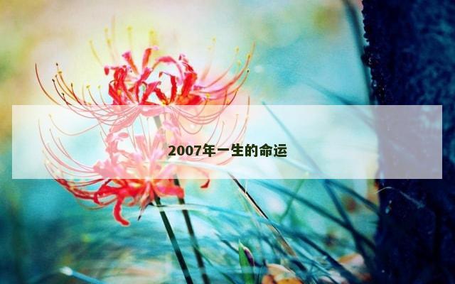 2007年一生的命运