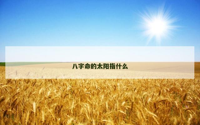 八字命的太阳指什么