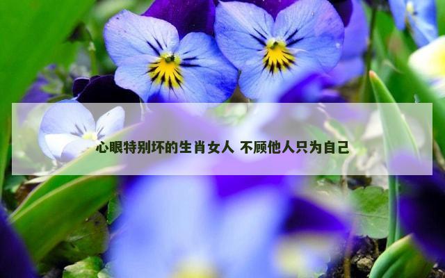 心眼特别坏的生肖女人 不顾他人只为自己