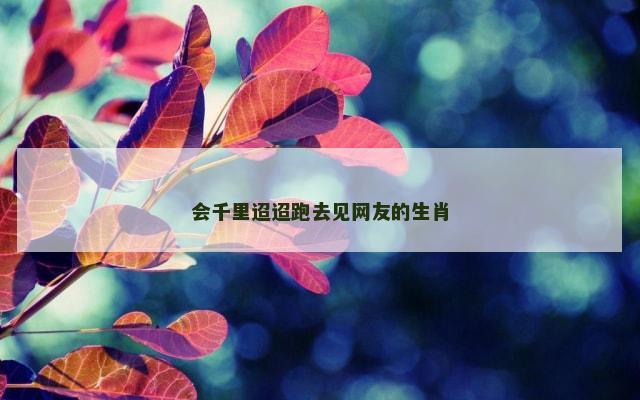 会千里迢迢跑去见网友的生肖