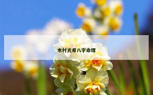 木村光希八字命理