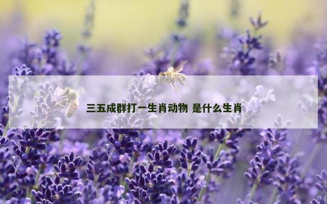 三五成群打一生肖动物 是什么生肖