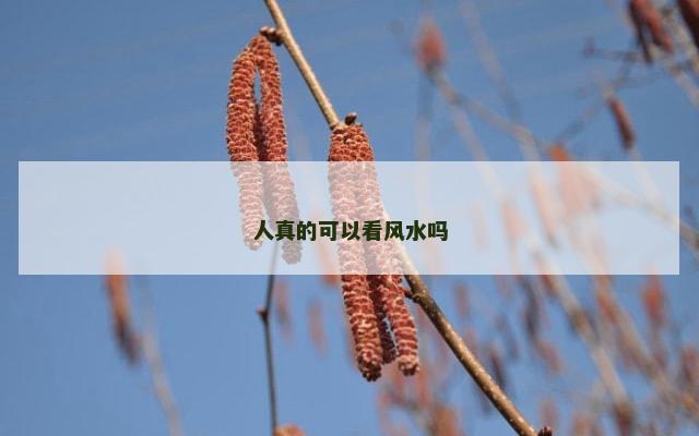 人真的可以看风水吗