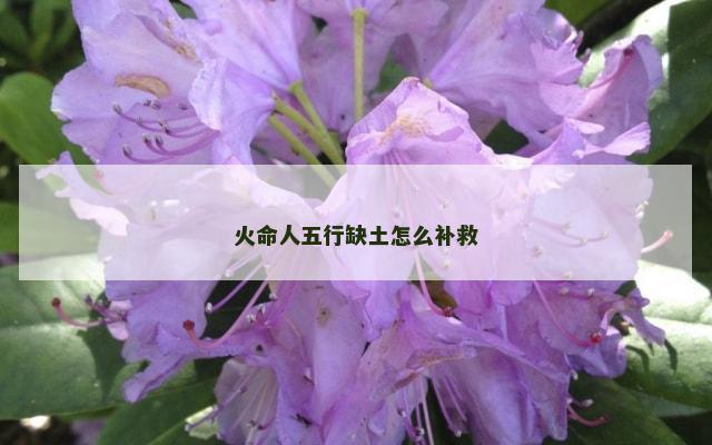火命人五行缺土怎么补救