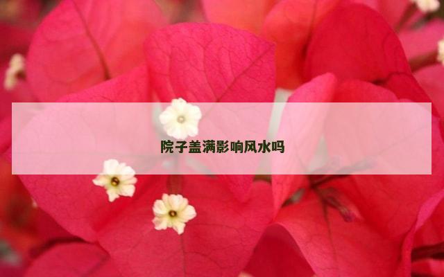 院子盖满影响风水吗
