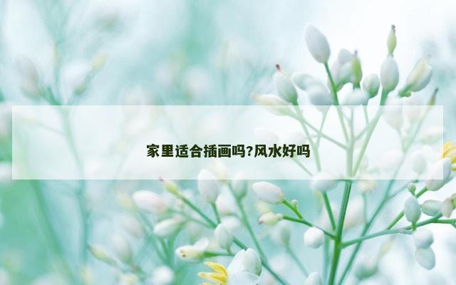 家里适合插画吗?风水好吗