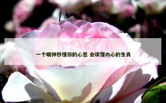 一个眼神秒懂你的心思 会读懂内心的生肖