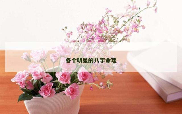 各个明星的八字命理