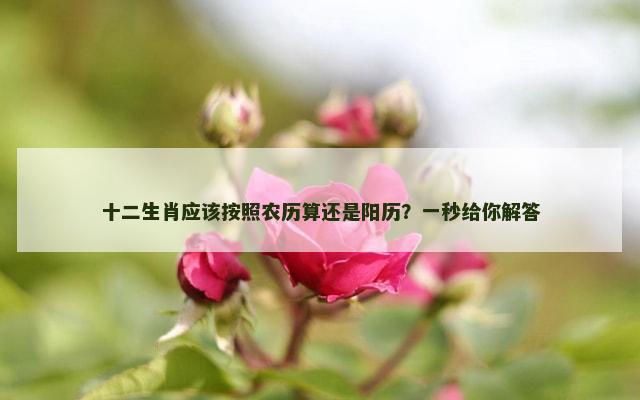 十二生肖应该按照农历算还是阳历？一秒给你解答