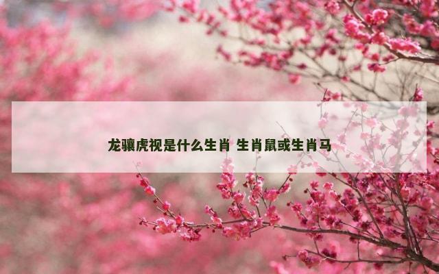 龙骧虎视是什么生肖 生肖鼠或生肖马