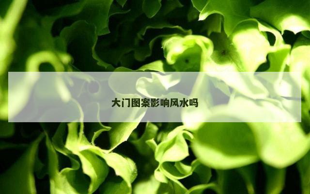 大门图案影响风水吗