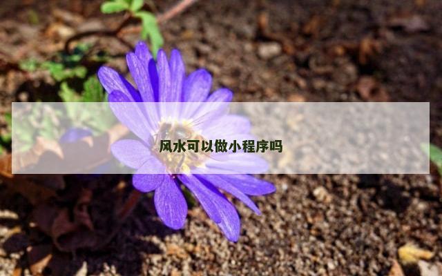 风水可以做小程序吗