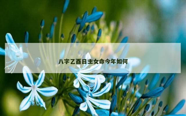 八字乙酉日主女命今年如何