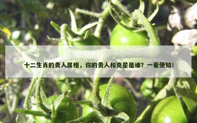 十二生肖的贵人属相，你的贵人和克星是谁？一看便知！