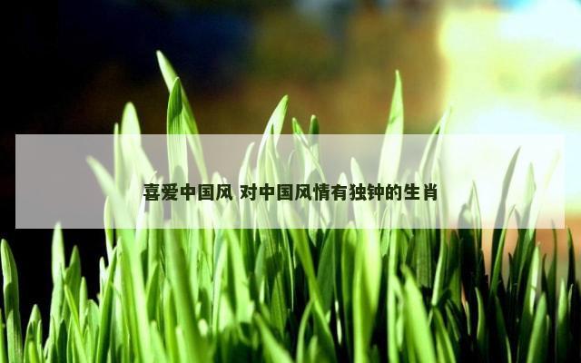 喜爱中国风 对中国风情有独钟的生肖