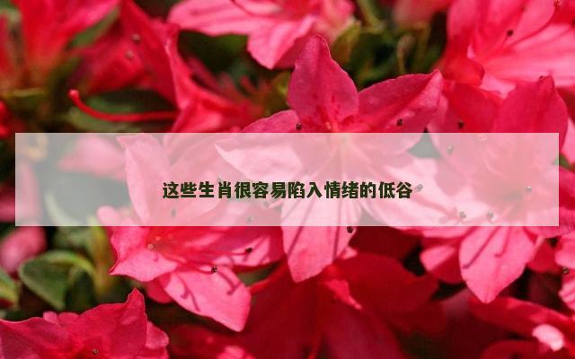 这些生肖很容易陷入情绪的低谷
