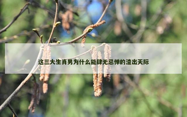 这三大生肖男为什么能肆无忌惮的渣出天际
