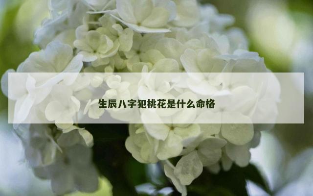生辰八字犯桃花是什么命格