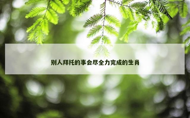 别人拜托的事会尽全力完成的生肖