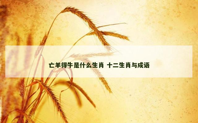亡羊得牛是什么生肖 十二生肖与成语