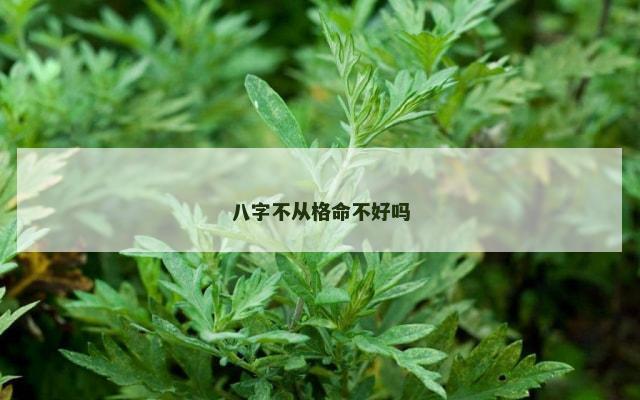 八字不从格命不好吗