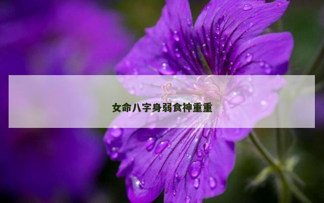 女命八字身弱食神重重