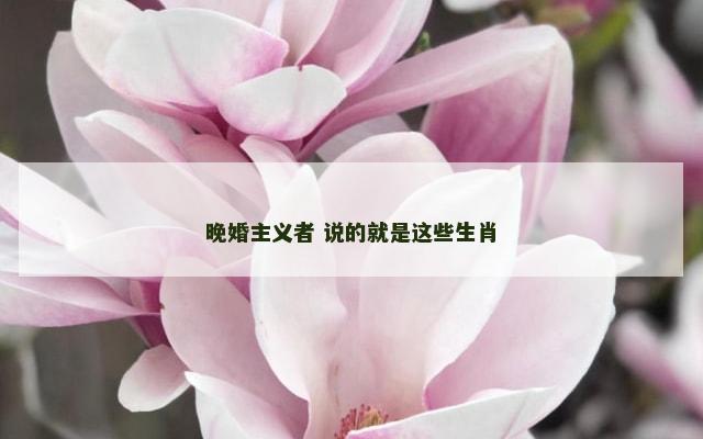 晚婚主义者 说的就是这些生肖