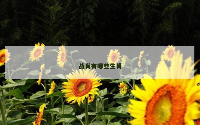 战肖有哪些生肖