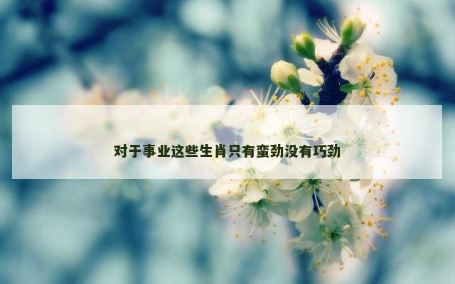 对于事业这些生肖只有蛮劲没有巧劲