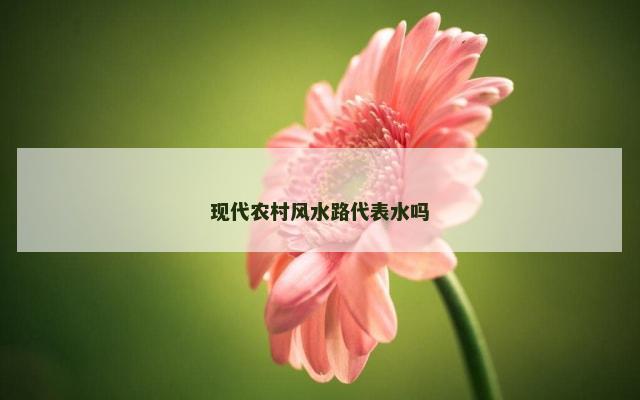 现代农村风水路代表水吗