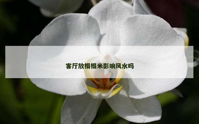 客厅放榻榻米影响风水吗