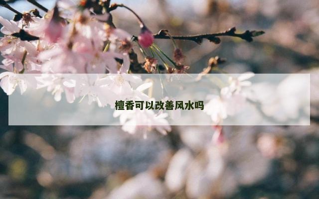 檀香可以改善风水吗