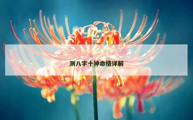 测八字十神命格详解