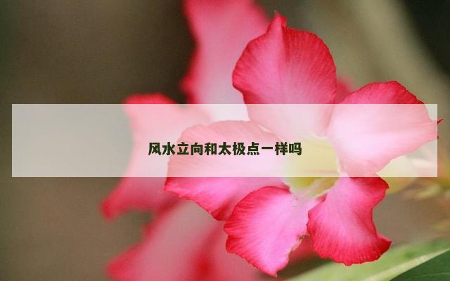 风水立向和太极点一样吗