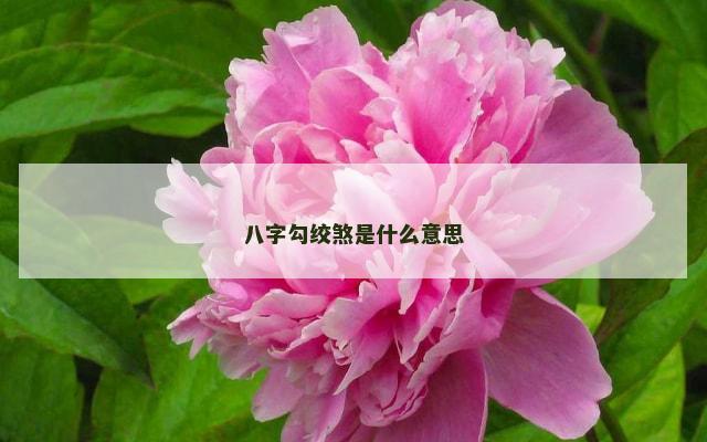 八字勾绞煞是什么意思