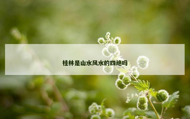 桂林是山水风水的四绝吗