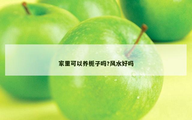 家里可以养栀子吗?风水好吗