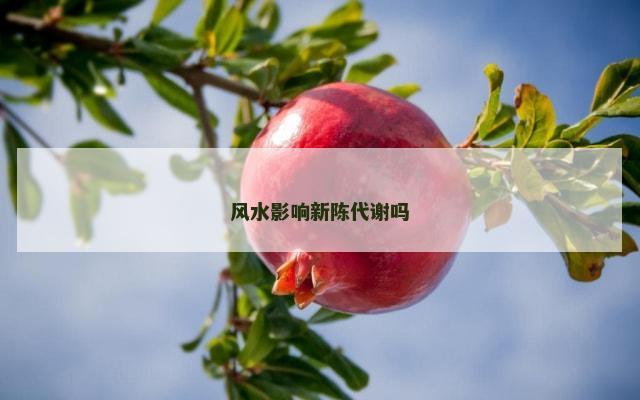 风水影响新陈代谢吗