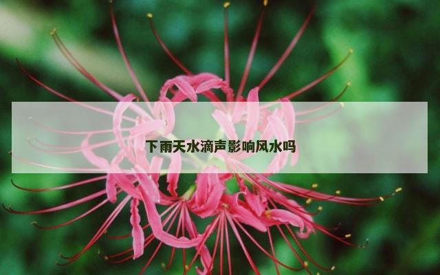 下雨天水滴声影响风水吗