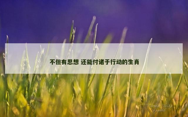 不但有思想 还能付诸于行动的生肖