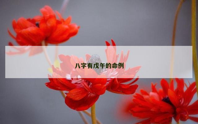 八字有戊午的命例