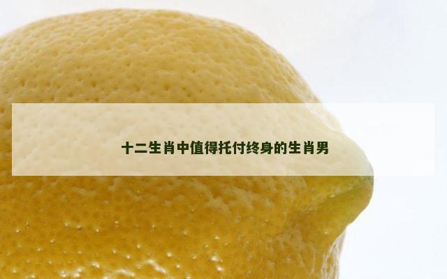 十二生肖中值得托付终身的生肖男