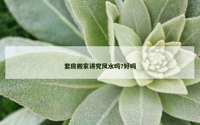 套房搬家讲究风水吗?好吗