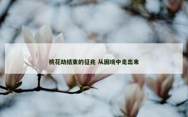 桃花劫结束的征兆 从困境中走出来